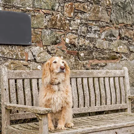 4 Bed In Penrith Oc-sz367 בית נופש Dockray