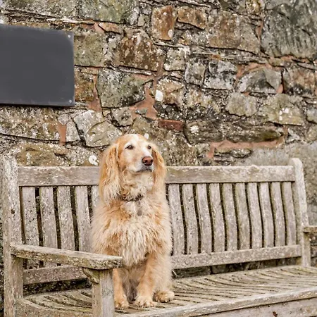 4 Bed In Penrith Oc-sz367 בית נופש Dockray